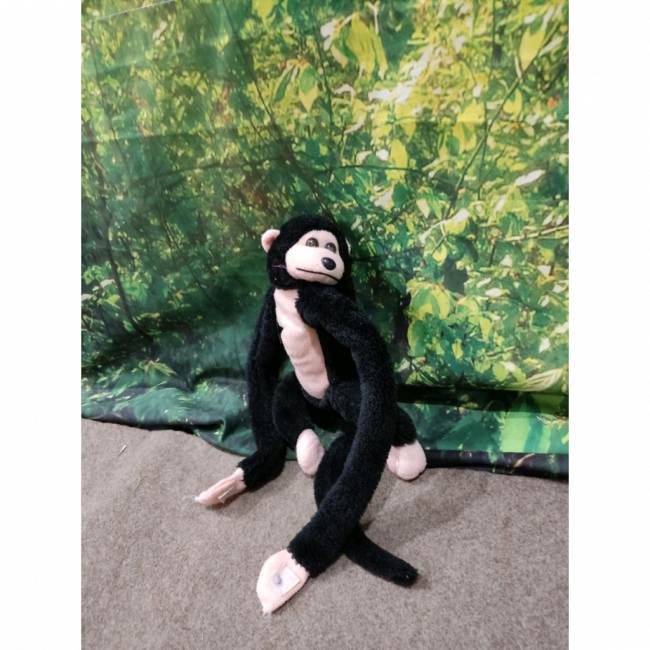 Macaco  Preto PP