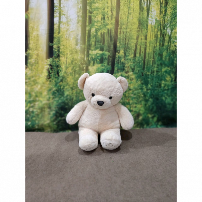 Urso Nino