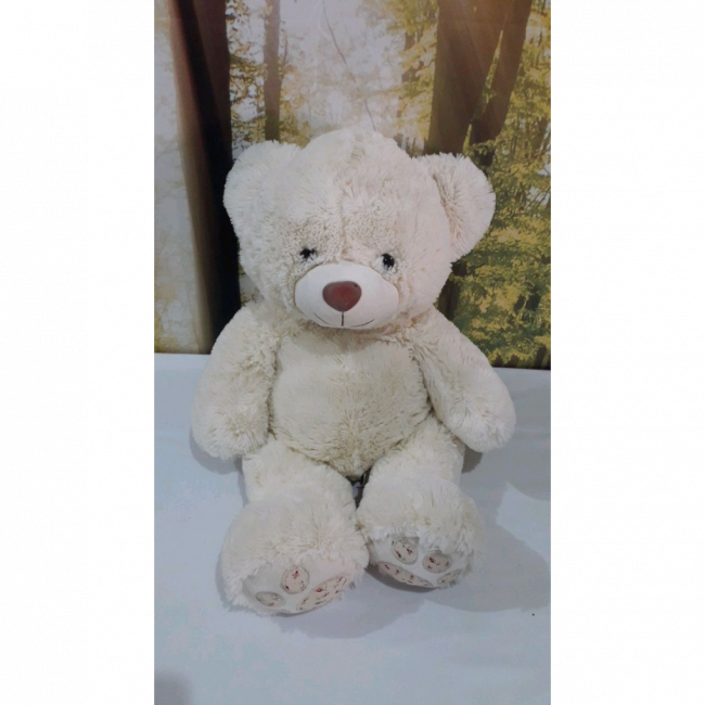 Urso Charmoso