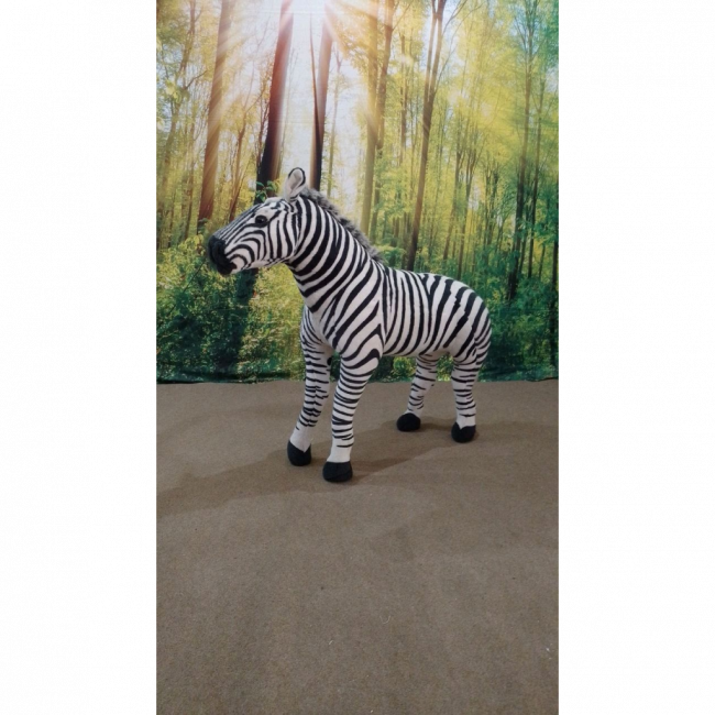 Zebra GG