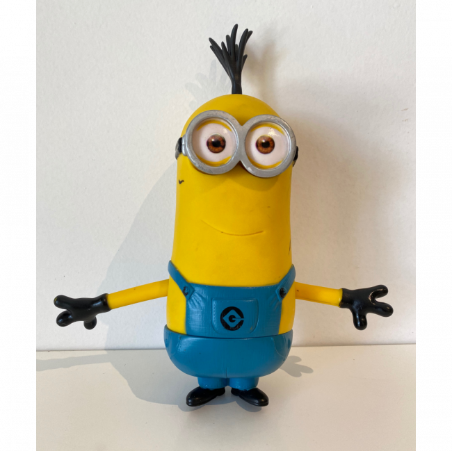 Minion Kevin