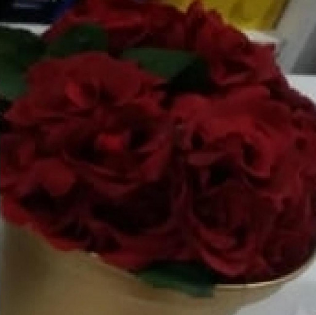 ARRANJO ROSAS VERMELHAS P