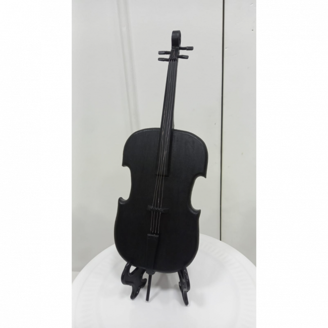 WANDINHA VIOLONCELO