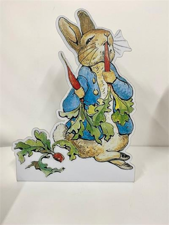 ED PLACA PETER RABBIT A36X25 G