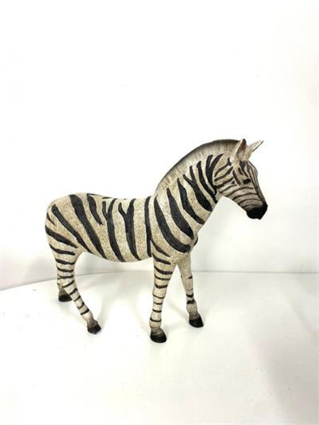 ED RES ZEBRA C31A26 M