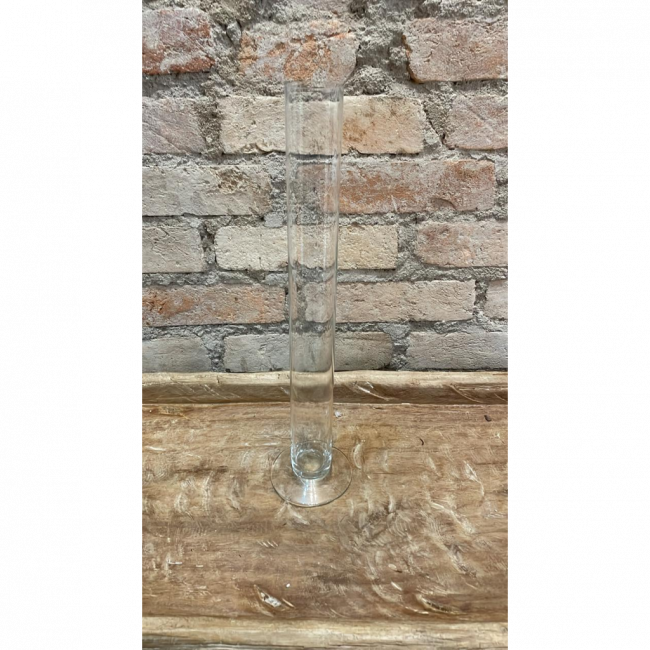 Vaso vidro transparente solitário