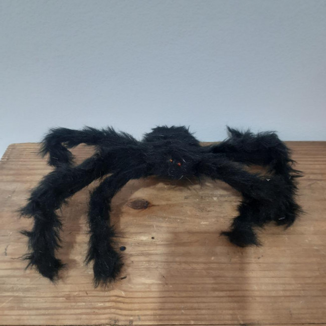 Aranha