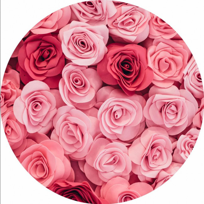 CAPA PAINEL CIRCULAR ROSAS (NA COR ROSA)