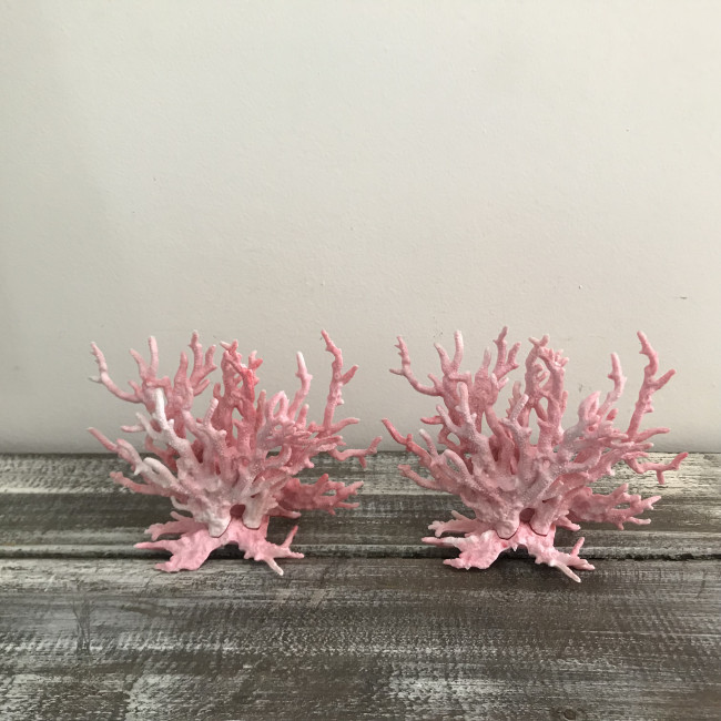 DUPLA DE CORAL ROSA