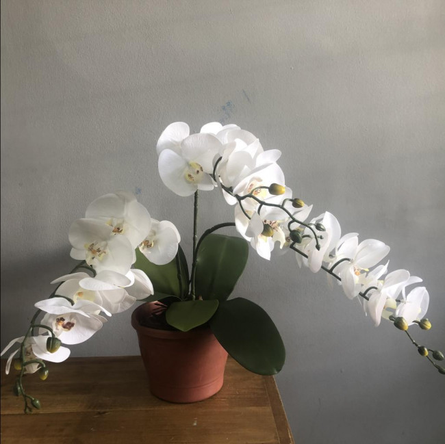 ARRANJO ORQUÍDEAS Branco