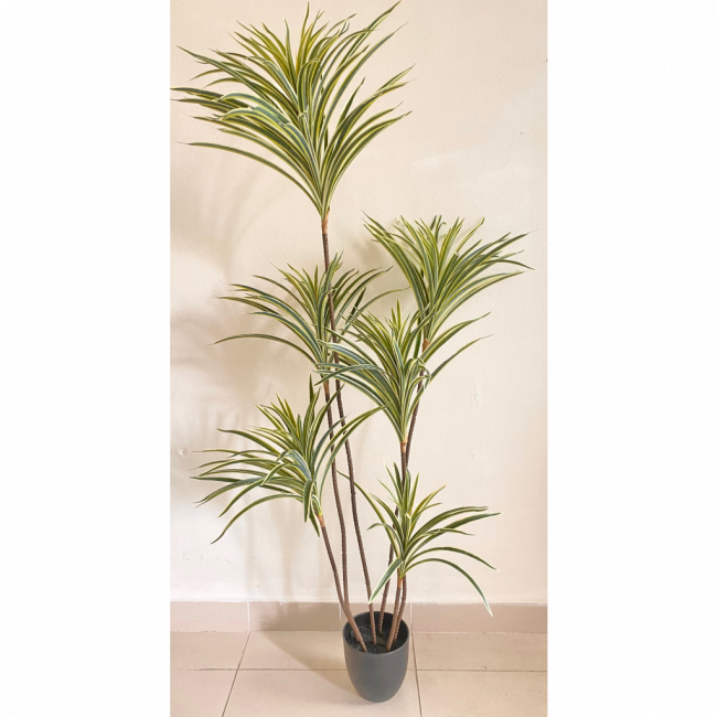 PLANTA ARTIFICIAL DRACENA