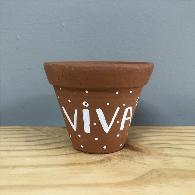 Vaso de barro viva