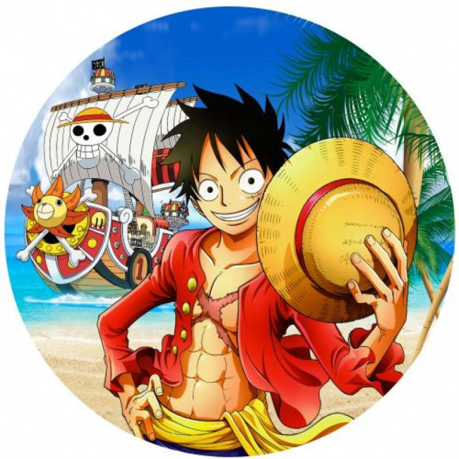 CAPA PAINEL ONE PIECE