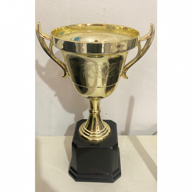 TROFÉU COPA ACRÍLICO DOURADO